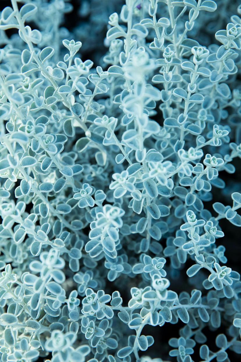 C'hwezh an deiz, 24 a viz Ebrel