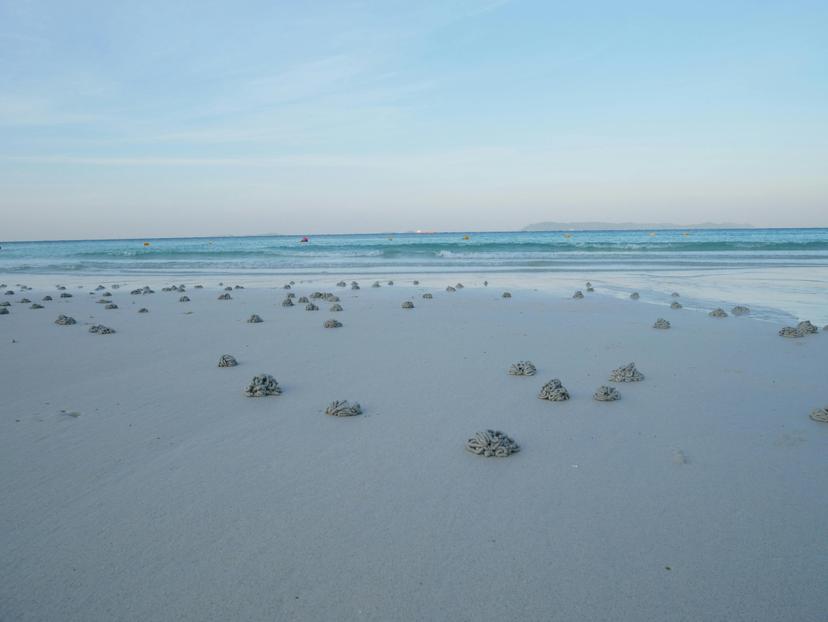 C'hwezh an deiz 20/01/2026