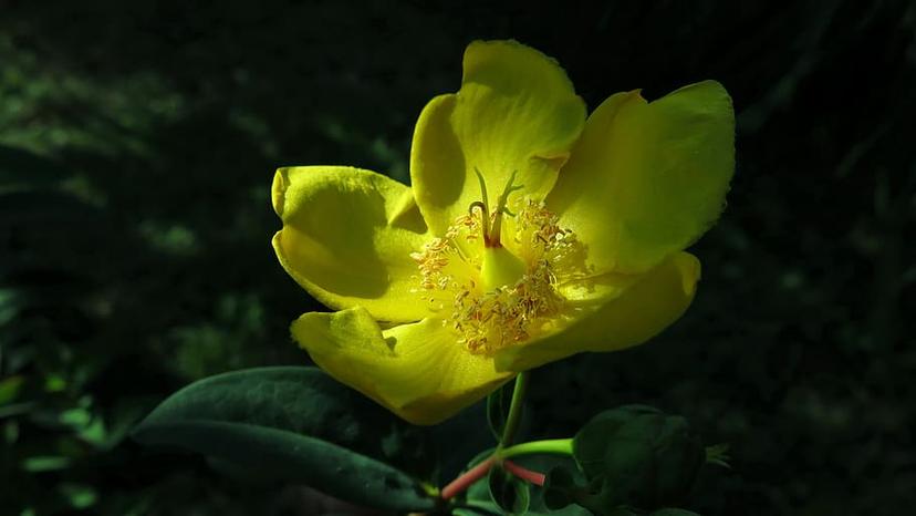 C'hwezh an deiz, 10 a viz Ebrel 2026