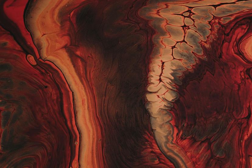 2vn evit kompren petra zo dindan an douar 2/4