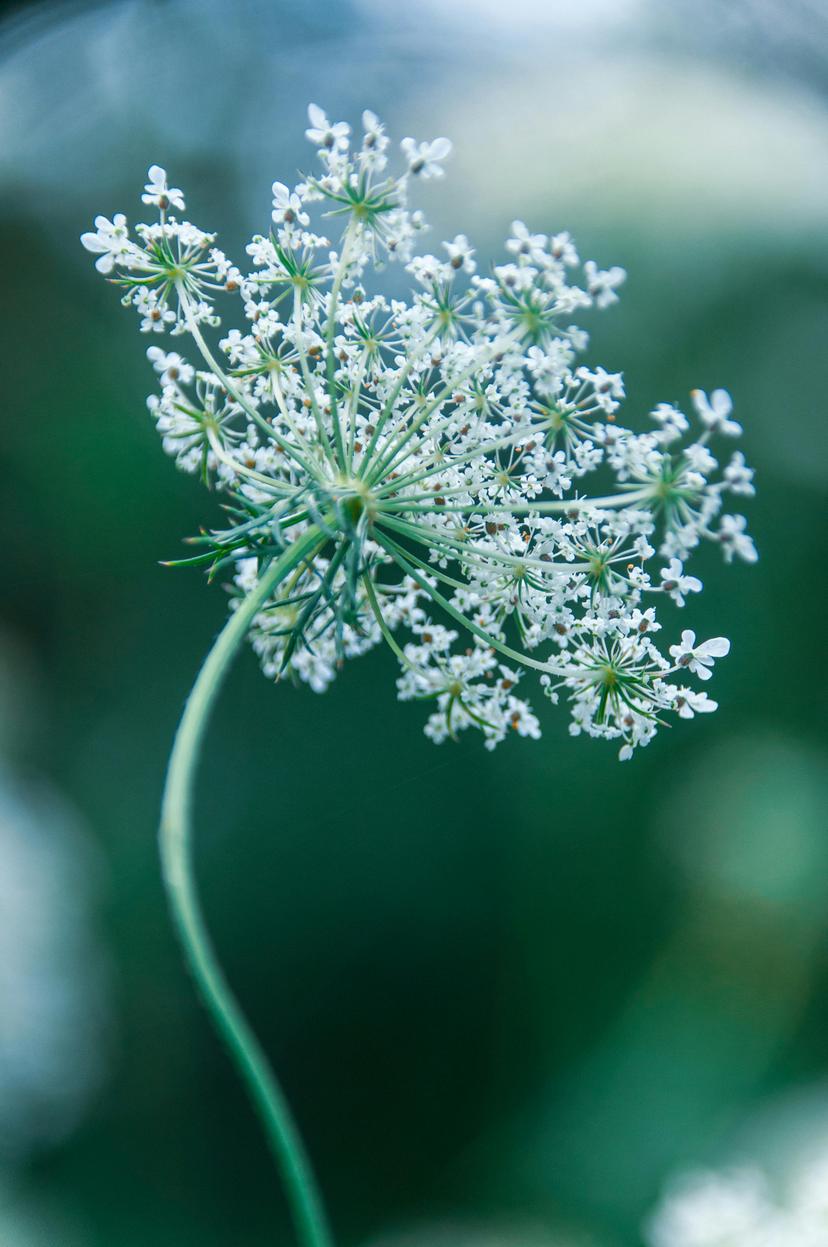 C'hwezh an deiz 27 a viz Meurzh 2026