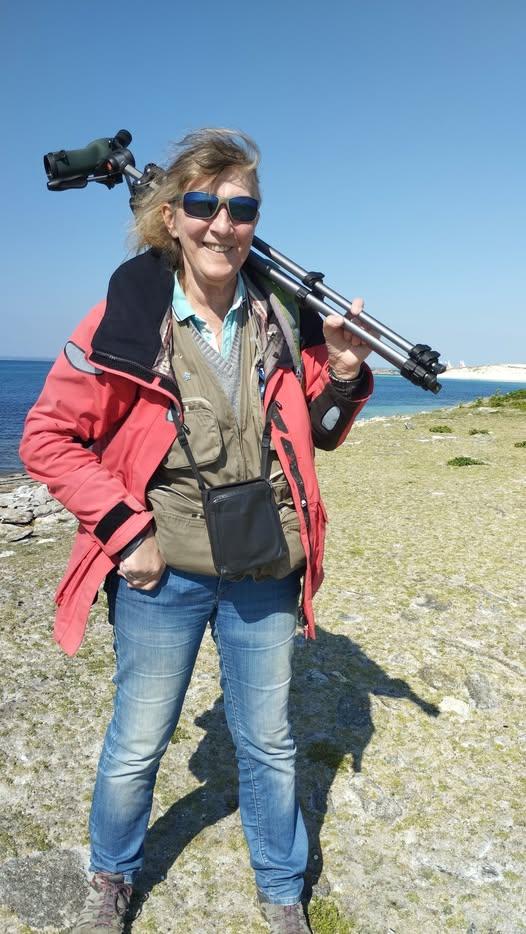 Les effets de la sécheresse sur la faune et la flore de Mousterlin